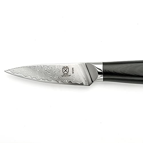 Mercer Culinary M13791 Premium Grade Super Steel, 3.5-Inch Paring Knife, G10 Handle